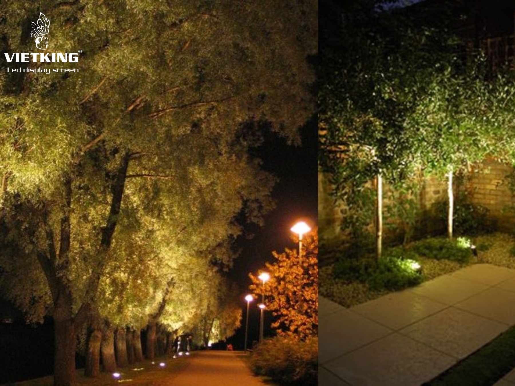 Đèn RGB LED dùng để chiếu cây